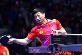 米乐体育娱乐-包含新加坡篮球明星球员赛场抢眼，实力备战总决赛的词条