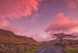 关于纽伦堡在客场带走一分，延续不败状态的信息